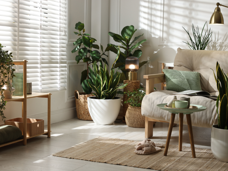 cold rooms in winter Melbourne living room