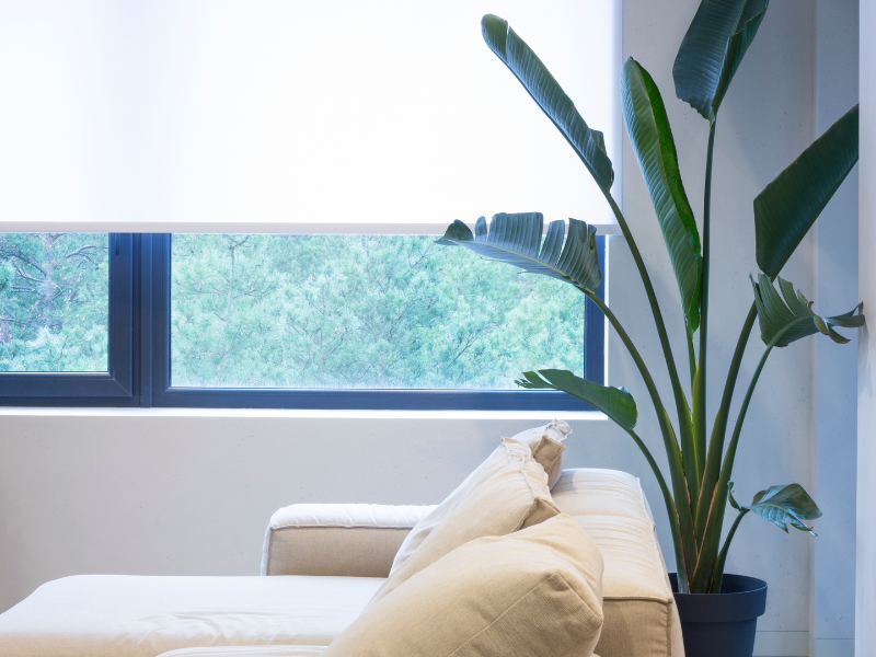 blinds Melbourne showroom Clayton